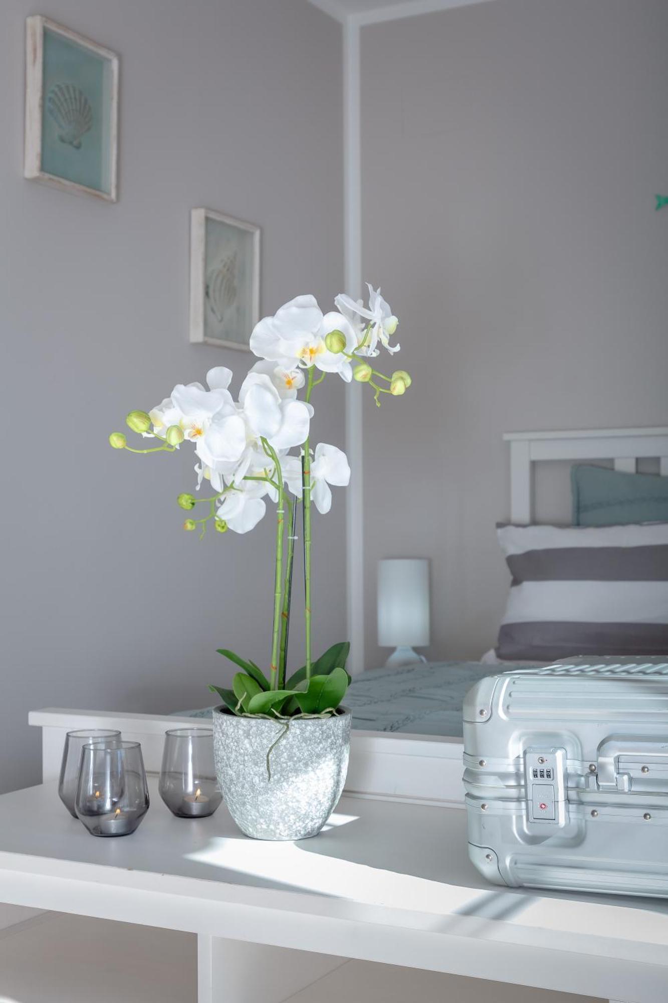 Villa Palmera PMI Eksteriør billede