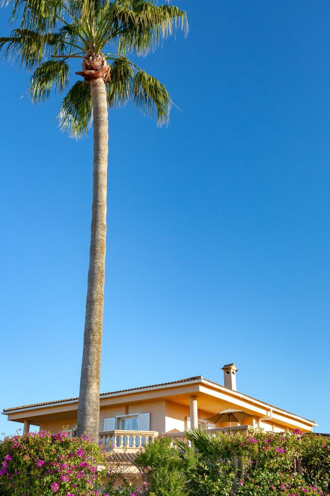Villa Palmera PMI Eksteriør billede